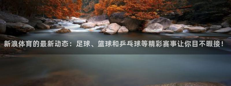 体育新闻