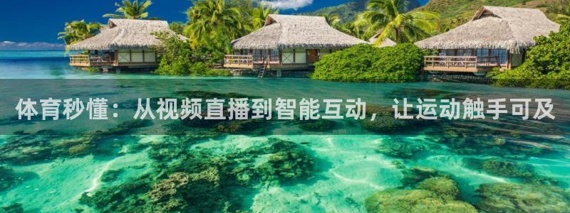 体育新闻
