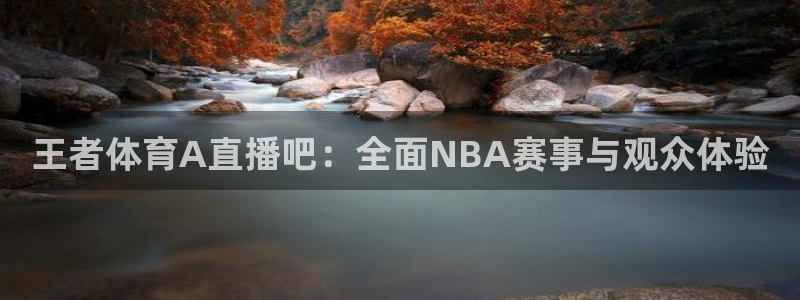 体育新闻