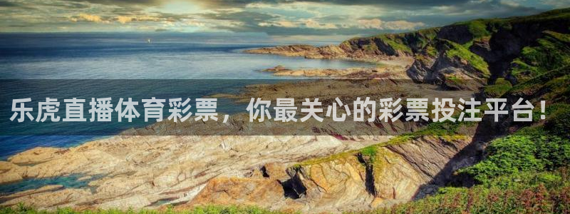 体育新闻